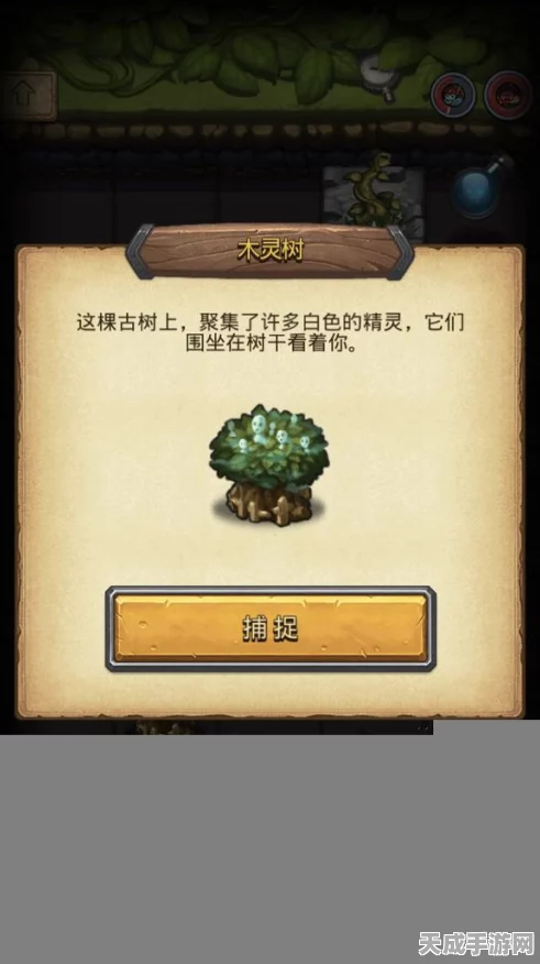 探秘不思议迷宫，永恒树灵魂高效收集攻略与最新动态