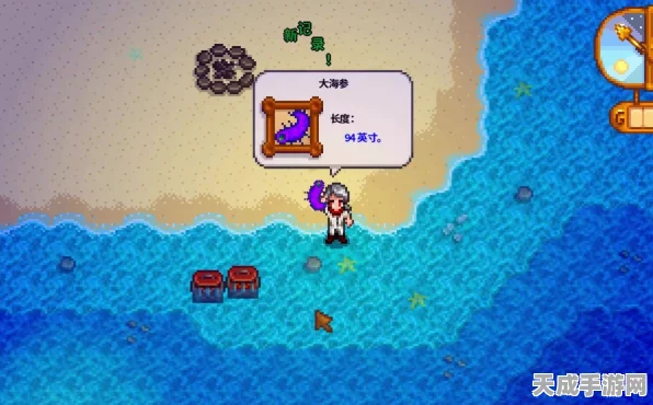 星露谷物语，解锁神秘海湾，探索未知奇遇