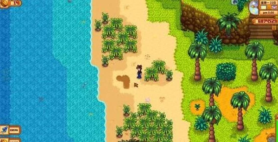 星露谷物语，解锁神秘海湾，探索未知奇遇