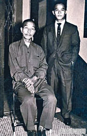 天涯明月刀，押镖系统深度揭秘，镖师身份玩法全攻略