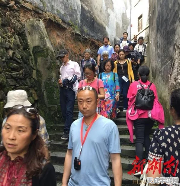 天涯明月刀，押镖系统深度揭秘，镖师身份玩法全攻略