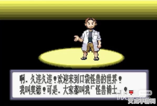 口袋妖怪红宝石386版金手指秘籍，解锁无限大师球全攻略