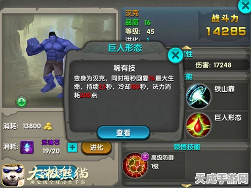 太极熊猫，毁灭公爵与武神搭配策略揭秘
