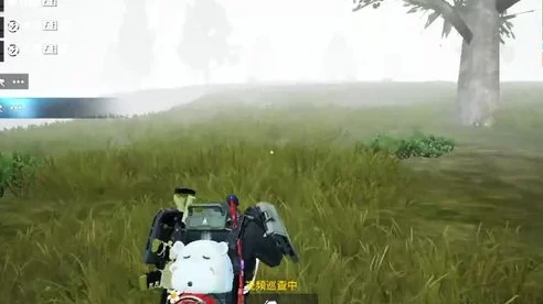 和平精英独行侠直装遭遇猎鹰系统检测，玩家需警惕违规提示！