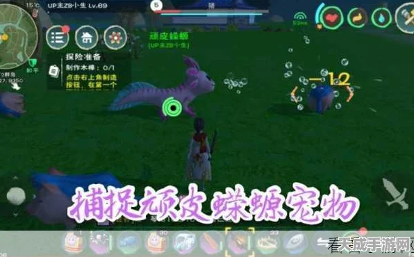 探秘创造与魔法，大顽皮蝾螈宠物深度评测与养成攻略