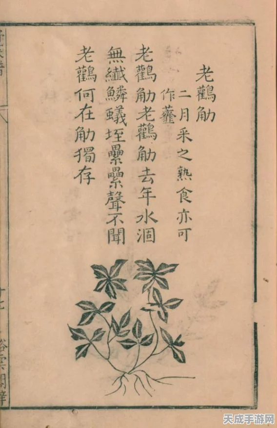 饥荒联机版新手攻略，掌握时间管理艺术，高效生存称霸荒野