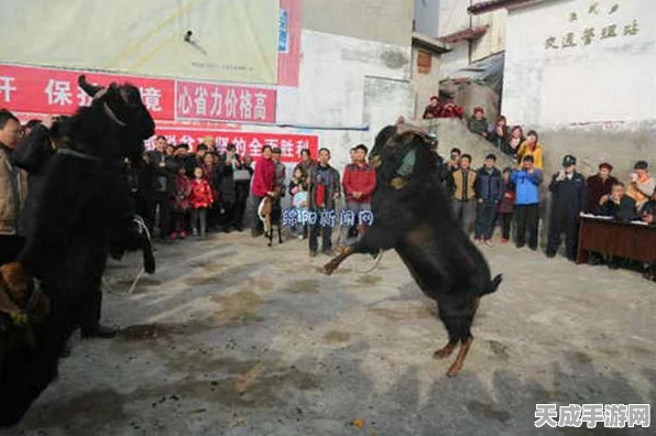 以闪亮之名新手盛宴，豪华福利活动全揭秘