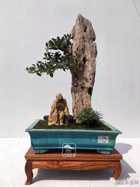 揭秘上古卷轴5，天际灵魂石深层奥秘，功能详解与实战应用