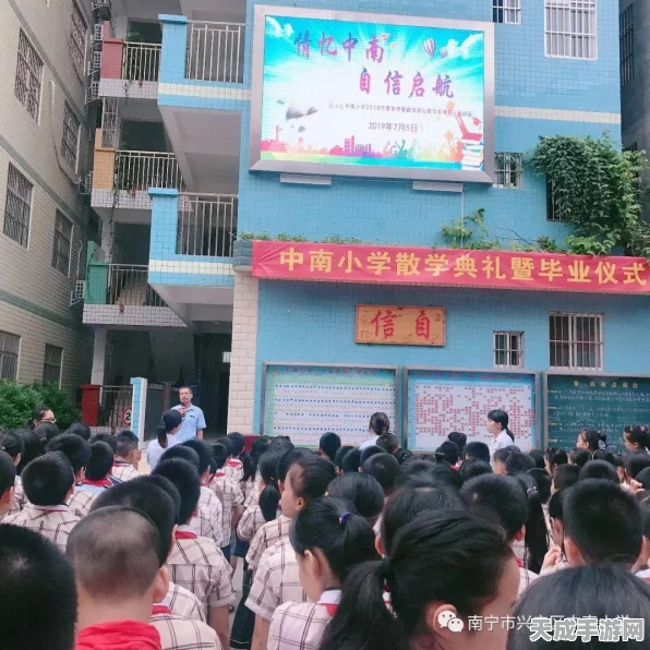 剑网3指尖江湖，新人满级启航攻略，解锁高阶玩法秘籍