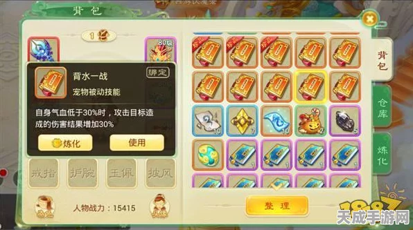 西游女儿国手游，合宠大赛全攻略，解锁强力宠物秘籍！