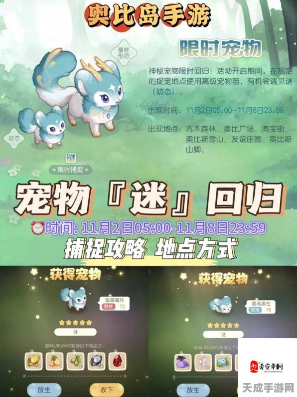 奥比岛手游宠物获取攻略，解锁萌宠，打造专属乐园！