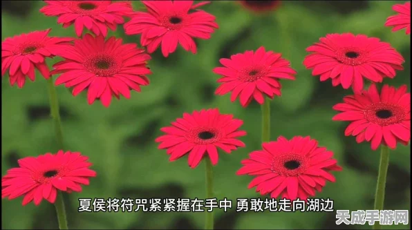 魔兽世界，揭秘永恒空气的神秘用途与最新动态
