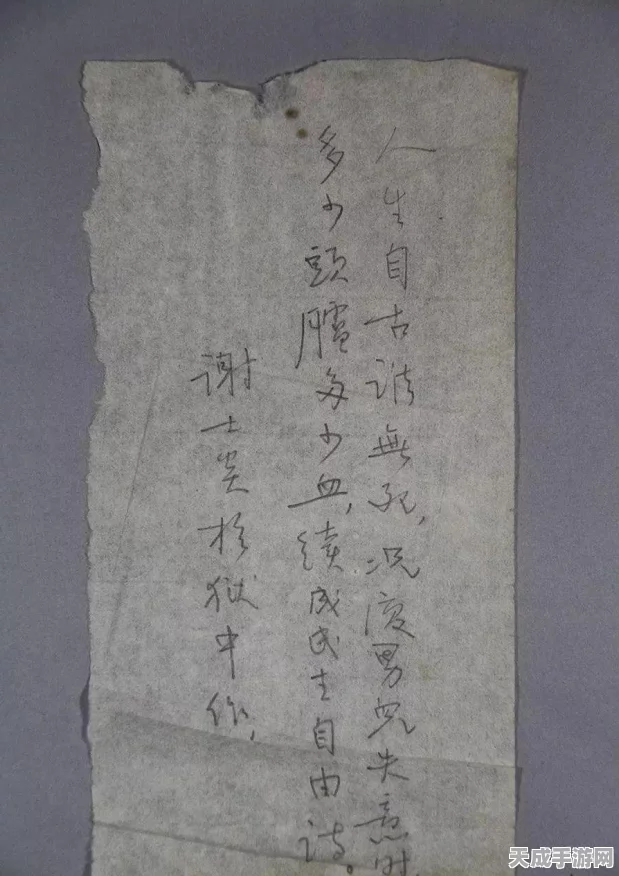 暗黑黎明2，刺探任务全攻略，揭秘高手秘籍与实战技巧