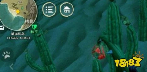 手游探索揭秘，创造与魔法中龙涎草的寻觅之旅与奇幻效用