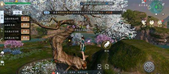 天涯明月刀手游，揭秘锦鲤先人秘藏4的绝密位置与寻宝攻略