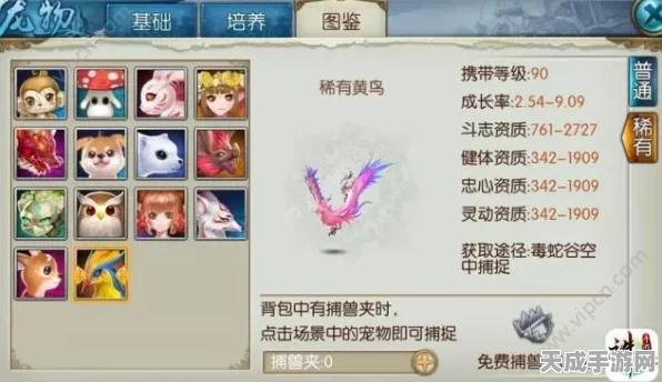 诛仙青罗宠物大揭秘，萌宠仙界奇缘与养成攻略