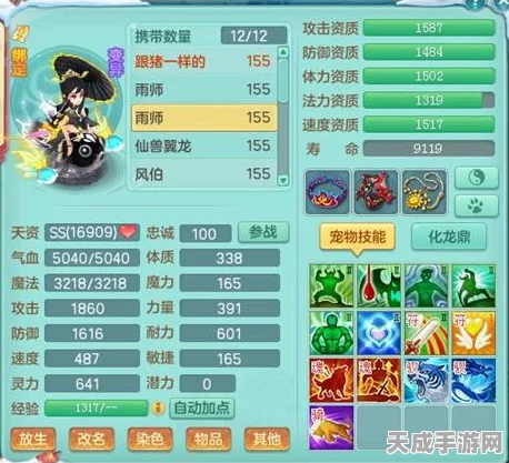 神武限制全解析，深入探索游戏中的策略与挑战