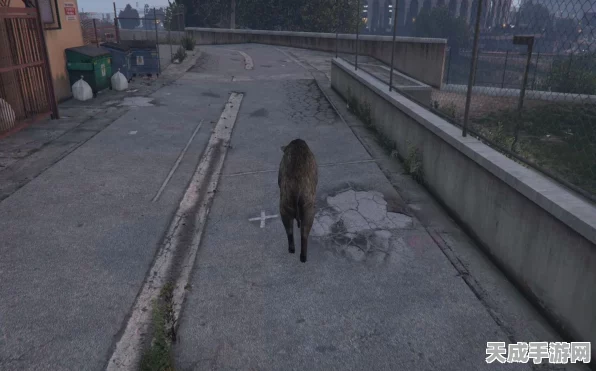 GTA5线下探险，揭秘27个仙人掌隐藏位置及收集攻略