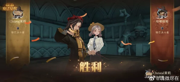 哈利波特魔法觉醒，揭秘神奇饲养赛，策略与魔法的终极对决