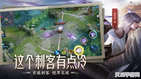 鸿蒙系统畅玩王者荣耀，全面解析与实战体验