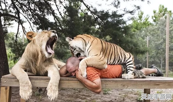 猎手之王，双手锤霸主之路——深度实战技巧与赛事解析