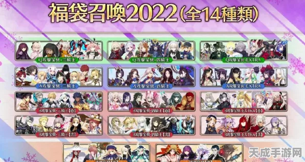FGO新年福袋揭秘，双卡池氪金策略全解析，玩家必看！