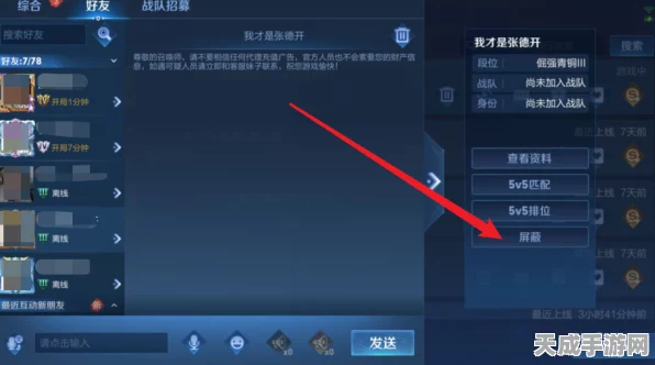 王者荣耀技巧揭秘，轻松学会屏蔽微信个别好友，享受纯净对战体验