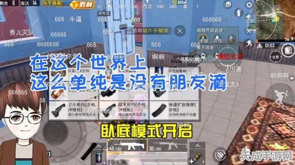 和平精英荣耀之路，揭秘皇冠段位五级晋升阶梯与竞技策略