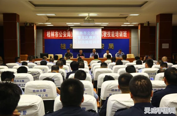 使命召唤手游枪械革新，深度解析全新开火模式与武器射击快感