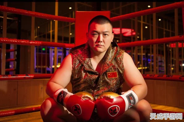 UFC荣耀殿堂，揭秘各级别现任霸主，激战瞬间震撼回顾