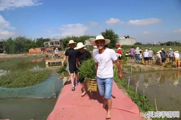 迷你世界农耕秘籍，高效收割与制作麦捆全攻略