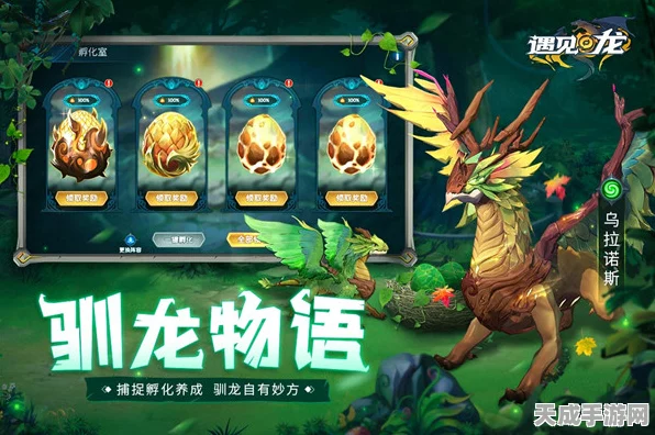 龙之契约，深度揭秘！龙族种类全攻略与奇幻图鉴盛宴