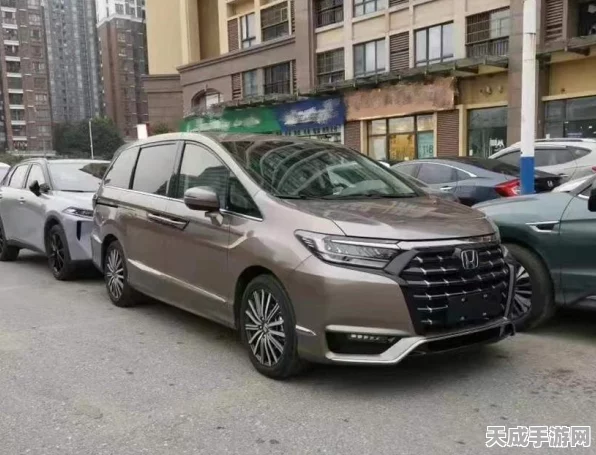 刺客信条奥德赛新手必看，10级前高效升级与资源积累策略