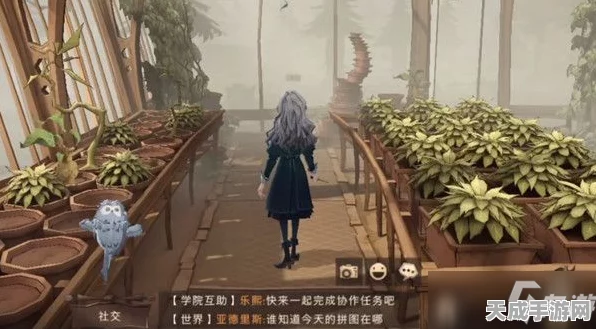 哈利波特魔法觉醒，揭秘米布米宝拼图碎片的高效获取攻略