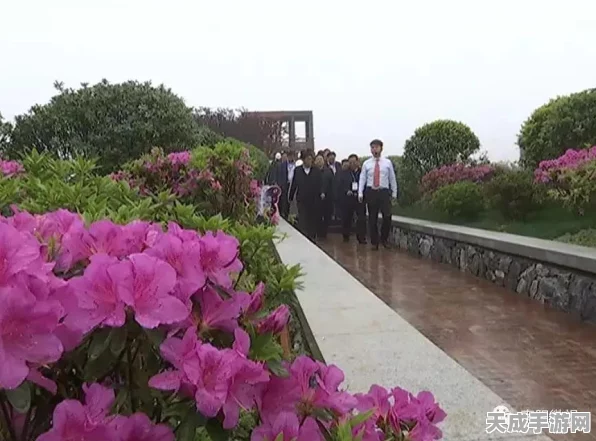 烟雨江湖深度探索，南阳渡宝藏全揭秘，碎片搜集与资源管理必胜攻略