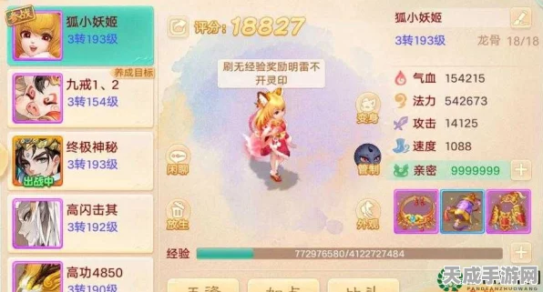 大话西游手游女性角色宠物搭配攻略，解锁战斗与颜值的双重胜利
