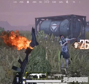 和平精英改名卡赠送攻略，轻松传递友谊新方式！