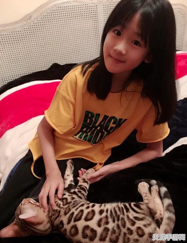 西游女儿国，宠物技能合成全攻略，打造专属战斗萌宠！