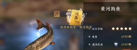 探秘天涯明月刀手游，黄河鲤鱼王捕捉全攻略，解锁稀有垂钓乐趣