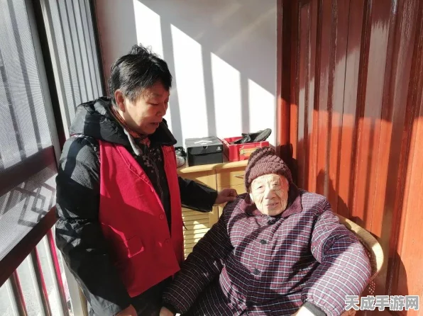 航海王启航，料理大赛背后的美食较量，料理系统全面剖析