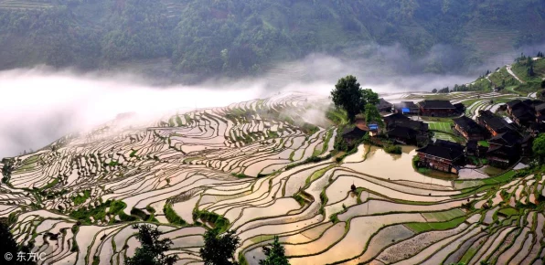 地下城堡3深度攻略，揭秘世界树根部探险，征服未知秘境的必胜策略！