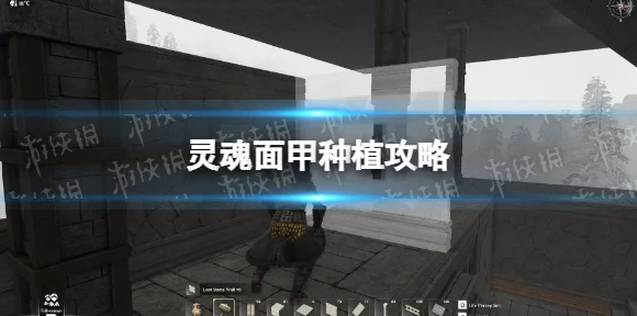 灵魂面甲蜂蜡获取攻略，解锁游戏珍稀道具的秘密