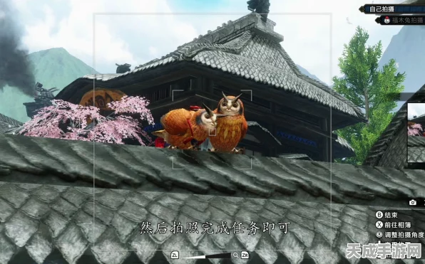 怪物猎人崛起曙光，福木兔全地图最佳捕捉点大揭秘