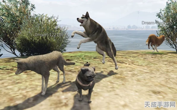 GTA5动物王国，揭秘游戏中的生态探险与趣味互动