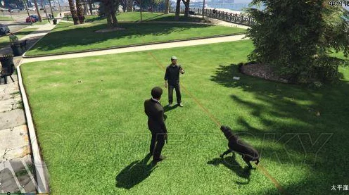 GTA5动物王国，揭秘游戏中的生态探险与趣味互动