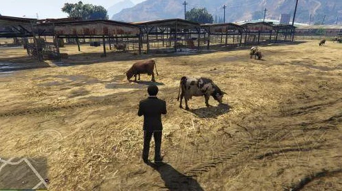 GTA5动物王国，揭秘游戏中的生态探险与趣味互动