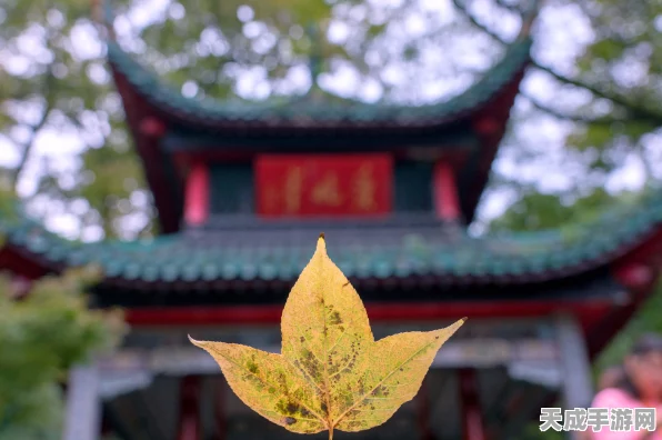 无限暖暖错位摄影大赛启幕，瓶中船任务攻略揭秘，激发你的无限创意！