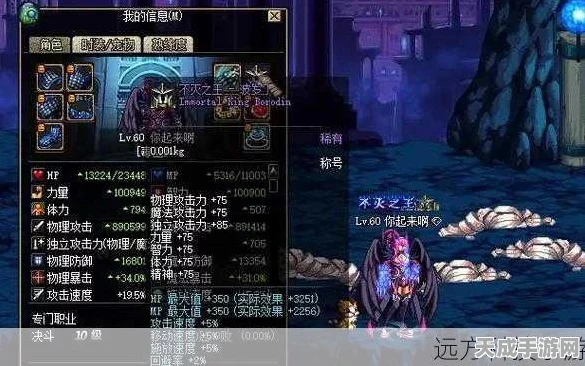 DNF假猪套揭秘，昔日传说装备背后的故事与最新动态