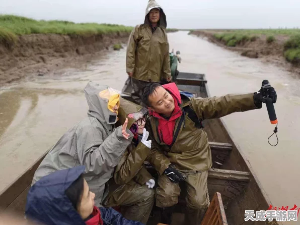 剑与远征攻略揭秘，迷失沼泽通关全解析，解锁隐藏宝藏！