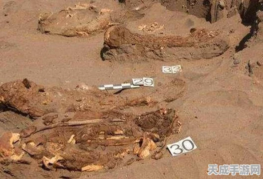 鹅鸭杀新挑战，古代沙地木乃伊召唤全攻略，解锁隐藏成就！